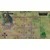Graveyard Keeper