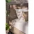 Sivorjava oblazinjena zakonska postelja z letvenim dnom 160x200 cm Noira Slim – Bonami Selection