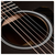 TAYLOR akustična gitara GS MINI-e SPECIAL EDITION, TRANS BLACK