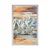 Plakat konji iz vode - 30x45 white