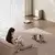 XIAOMI ECO Xiaomi Robot Vacuum H50 Pro EU