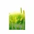 Plakat stebla trave v zeleni varianti - 30x45 no frame