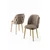 Hanah Home Set stolica Axle, 85x59x146 cm, 6 komada, Smeđe