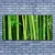 tulup.si Slika na steklu Bamboo bamboo forest narava 140x70 cm 2 obešalnika
