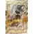Conceptum Hypnose Tepih Hmnt797, 180x280cm, Šareni