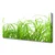 tulup.si Slika na platnu Grass nature rastlin 120x60 cm