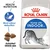 Royal Canin Cat Adult Indoor 27 2 KG