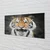 tulup.si Steklena slika Tiger 120x60 cm 2 obešalnika