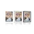 Plakat s paspartujem nostalgični listi - 20x30 silver