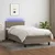 Vidaxl Box spring postelja z vzmetnico LED taupe 90x190 cm blago