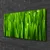 tulup.si Slika na platnu Grass nature rastlin 100x50 cm
