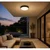 Rabalux 77223 - LED spoljno plafonsko svetlo HORT2 LED/14W/230V IP54 crno