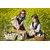 shumee Elliot premium suhe slive 200g Naturini