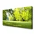 tulup.si Slika na platnu Grass nature park drevesa 140x70 cm