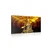 Slika kip Bude z abstraktnim ozadjem - 40x30