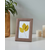EGLO Ram za slike Chenor 10x15cm braon