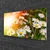tulup.si Slika na steklu Marjetice flowers rays 100x50 cm 4 obešalnika