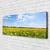 tulup.si Slika na platnu Dandelion travnik 120x60 cm
