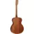 Tanglewood TW2 T Winterleaf - Elektro-Akustična Gitara