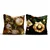 Aberto Design Set ukrasnih jastučnica PLW-NWYR26 - 10, 43x43 cm, 2 komada