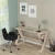 HANAH HOME Radni sto Lungo Light Oak