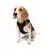 Paws & Whiskers Am za pse Air-Mesh, Braon