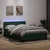 Vidaxl Box spring postelja z vzmetnico LED temno zelena 160x220 cm žamet
