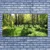 tulup.si Slika na platnu Forest grass nature rastlin 125x50 cm