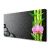 tulup.si Slika na platnu Bambus stem flower rastlin 120x60 cm