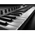 Native Instruments Komplete Kontrol M32