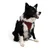Paws & Whiskers Am za pse Air-Mesh, Bordo