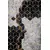 CONCEPTUM HYPNOSE Tepih (100x150) Hmnt773