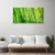 tulup.si Slika na steklu Grass nature rastlin 100x50 cm 2 obešalnika