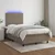 Vidaxl Box spring postelja z vzmetnico LED taupe 120x190 cm blago