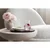 Villeroy & Boch SET KOZARCEV