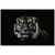 Fototapeta tiger - 294x270