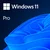 MICROSOFT Windows 11 Pro 64bit Eng Intl OEM (FQC-10528)