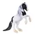 Mojo Gypsy Vanner žrebec