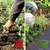shumee Heckermann agrotekstil 0,8x20m 90g/m2 črne barve (kocka)