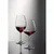 Schott Zwiesel Kozarec za belo vino Ivento 349 ml (6 kos)