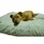 Spot Pet dušek mikrofiber 100x70 /23 cm -XL