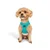 Paws & Whiskers Am za pse Air-Mesh, Svetloplavi