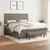 Vidaxl Box spring postelja z vzmetnico taupe 160x200 cm blago