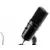 Zoom ZUM-2 Podcast Mic Pack