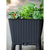 KETER Saksija za mini baštu Easy grow 120L/ grafit CU 230298