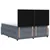vidaXL Postelja boxspring z vzmetnico Temno siva 180 x 200 cm Žamet