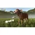 Farming Simulator 25 - Beans & Alpacas Edition (PC)