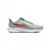 NIKE AIR ZOOM PEGASUS 39 Shoes