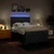 vidaXL vidaXL Box spring postelja z vzmetnico modra 140x200 cm blago, (21310309)