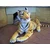 RJAVI PLIŠASTI TIGER, REALNI, dolžina 60+38 cm, za darilo